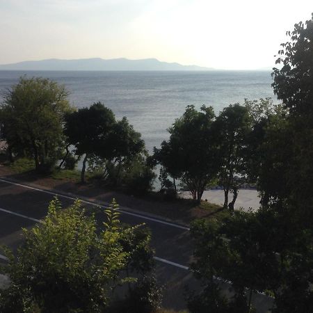 Apartment Marina Senj セニ エクステリア 写真